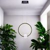 Lámpara LED colgante Elin 35cm blackcon luz cálida 15W