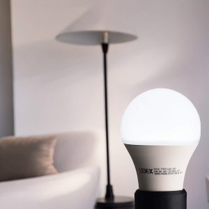 Foco led A60 base E27 10W 800LM 6500K