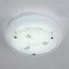 Plafón circular 24cm Ramas para módulo led