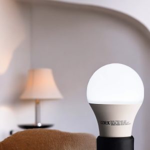 Foco led A60 base E27 9W 800LM 6500K