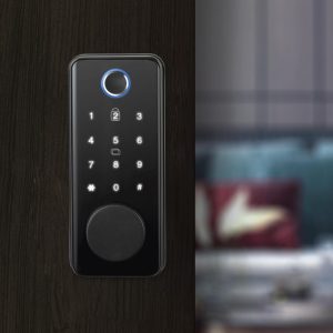 smart door lock
