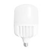Foco led E40 Ovo Plus 100W 11000LM 6500K