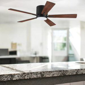 ventilador de techo