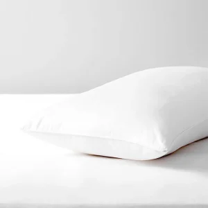 Almohada Beautyrest Spa con Aloe Vera 70X50cm