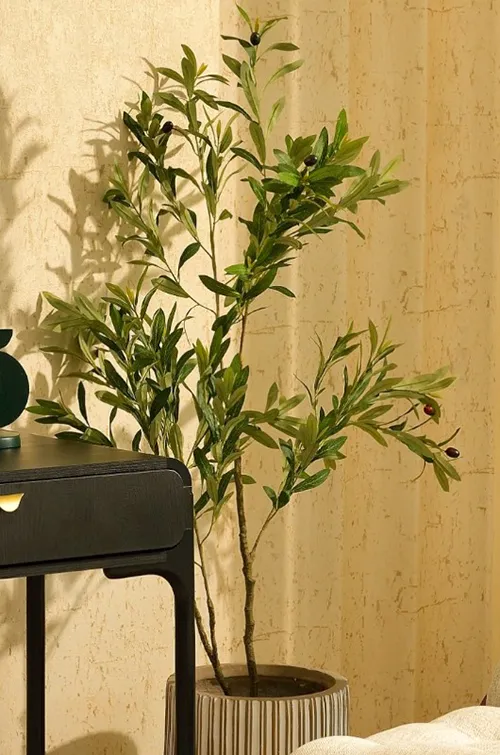 aniv26-planta banner