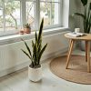 Planta artificial