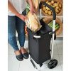 CARRITO DE COMPRAS