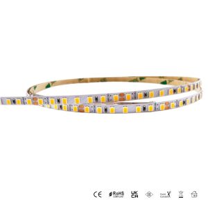 cinta