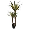 planta
