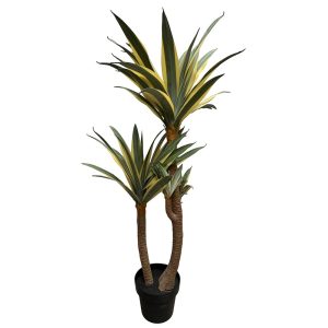 planta