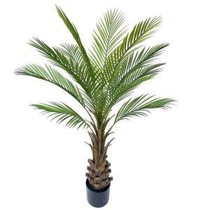 planta
