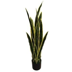 planta