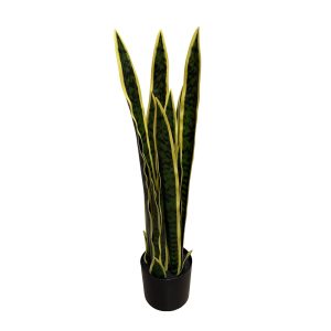 planta