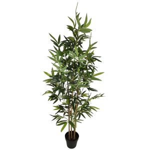 planta