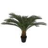 planta
