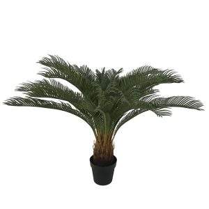 planta