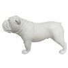 Adorno Bulldog Inglés de resina blanco 16cm