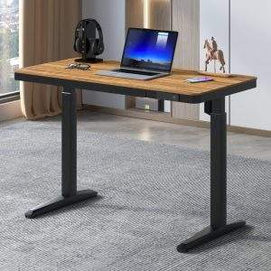 escritorio eléctrico